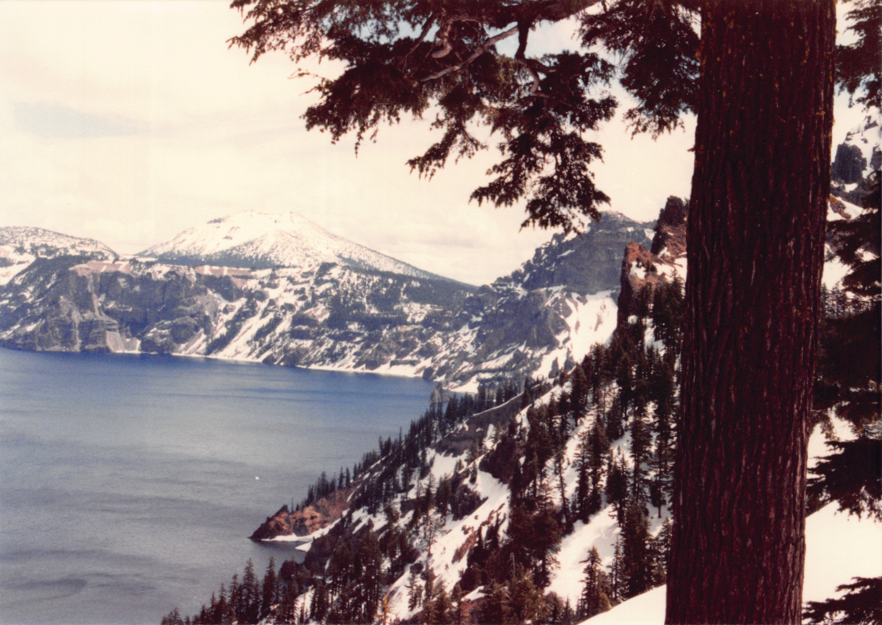 1985_Part 2_01_086.jpg
